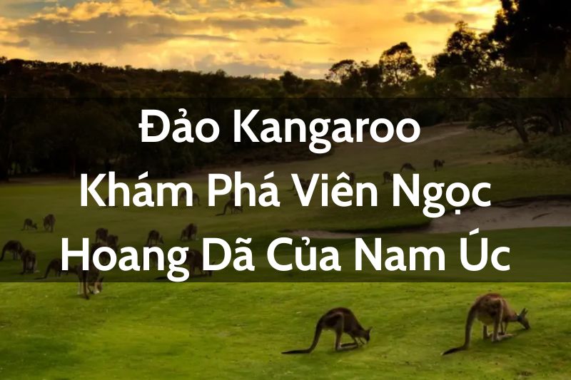 Cù Lao Chàm