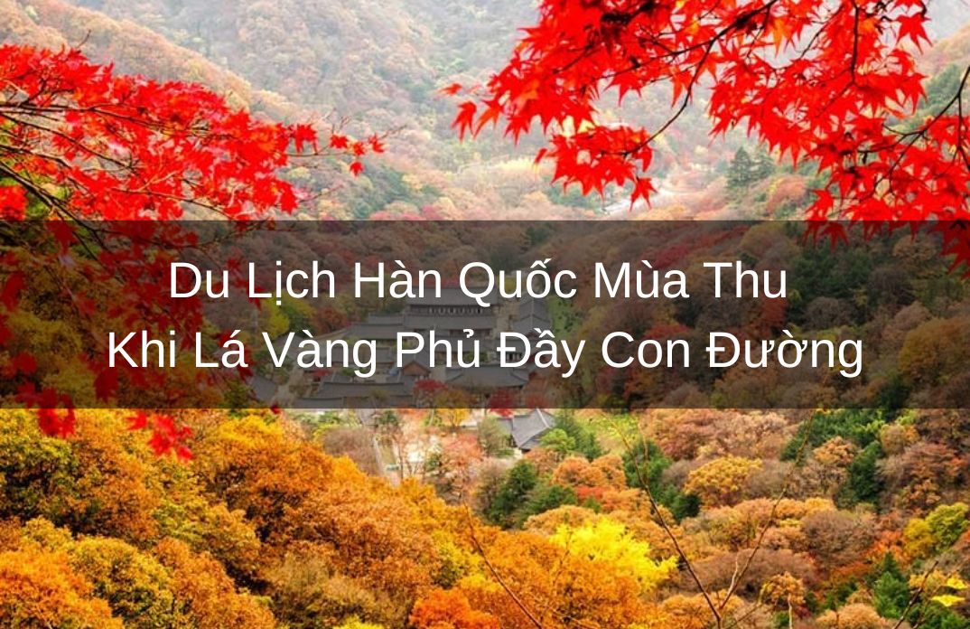 Cù Lao Chàm
