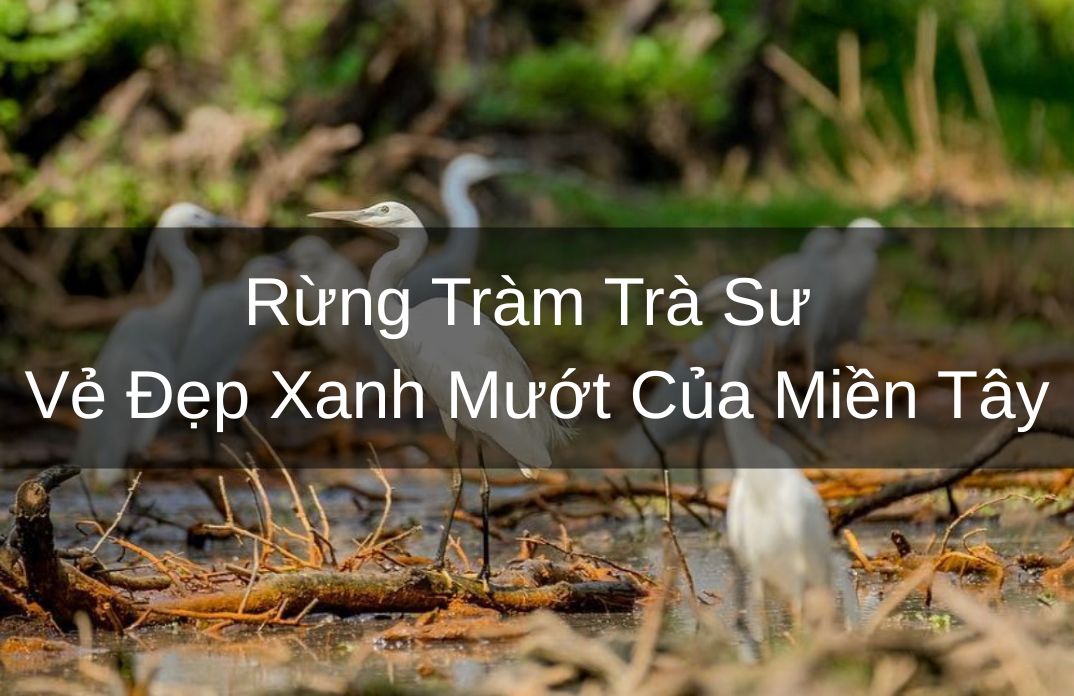 Cù Lao Chàm