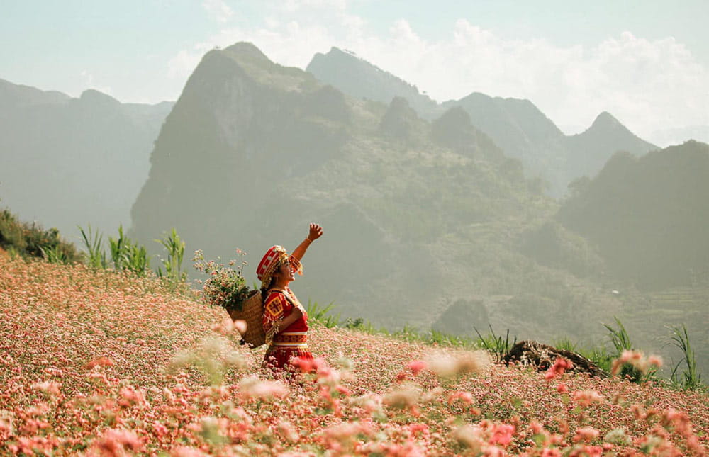 Tháng 3 Này, Nên Đi Du Lịch Ở Đâu?