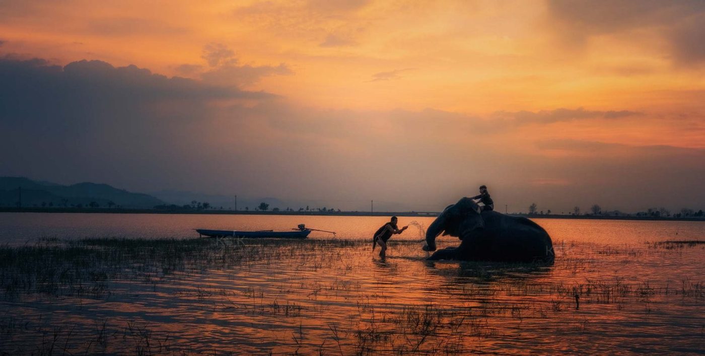 Hồ Lắk: Review Chi Tiết Từ A-Z Cho Chuyến Đi Thực Tế