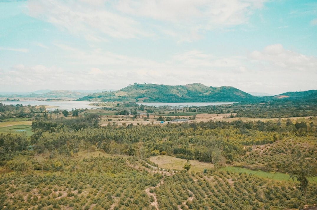 Du Lịch Buôn Ma Thuột Mùa Hè: Top 5 Điểm Đến Nổi Bật Và Trải Nghiệm Không Thể Bỏ Lỡ