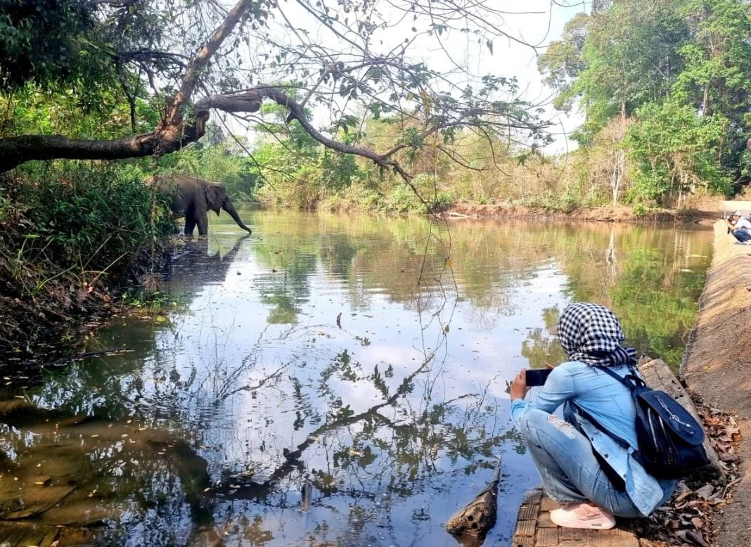 Du Lịch Buôn Ma Thuột Mùa Hè: Top 5 Điểm Đến Nổi Bật Và Trải Nghiệm Không Thể Bỏ Lỡ