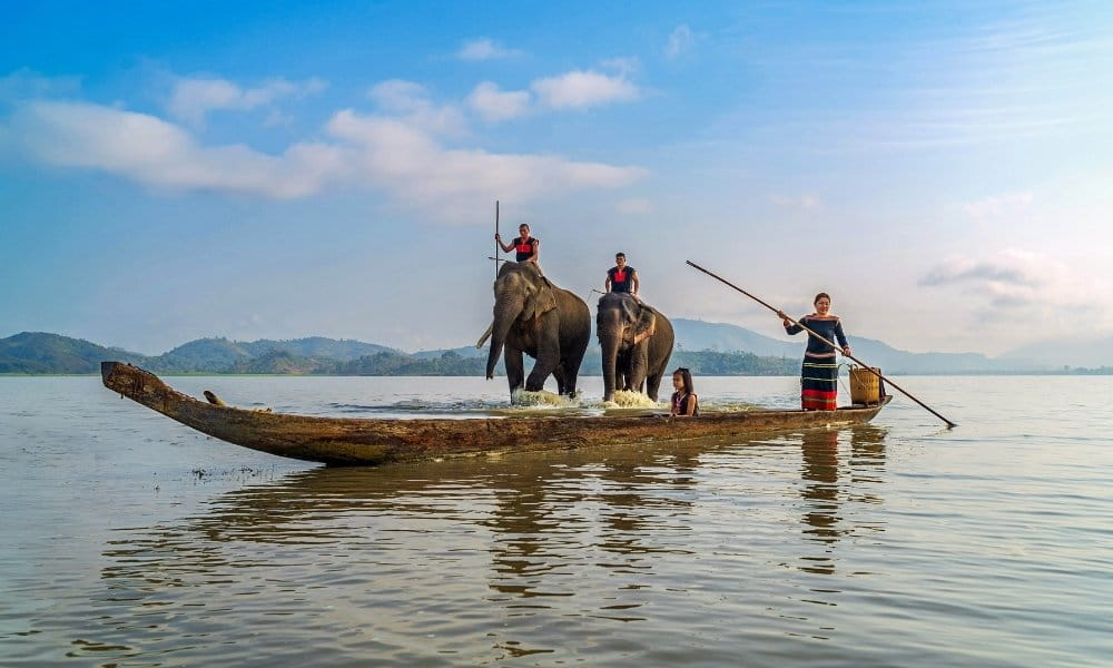 Hồ Lắk: Review Chi Tiết Từ A-Z Cho Chuyến Đi Thực Tế