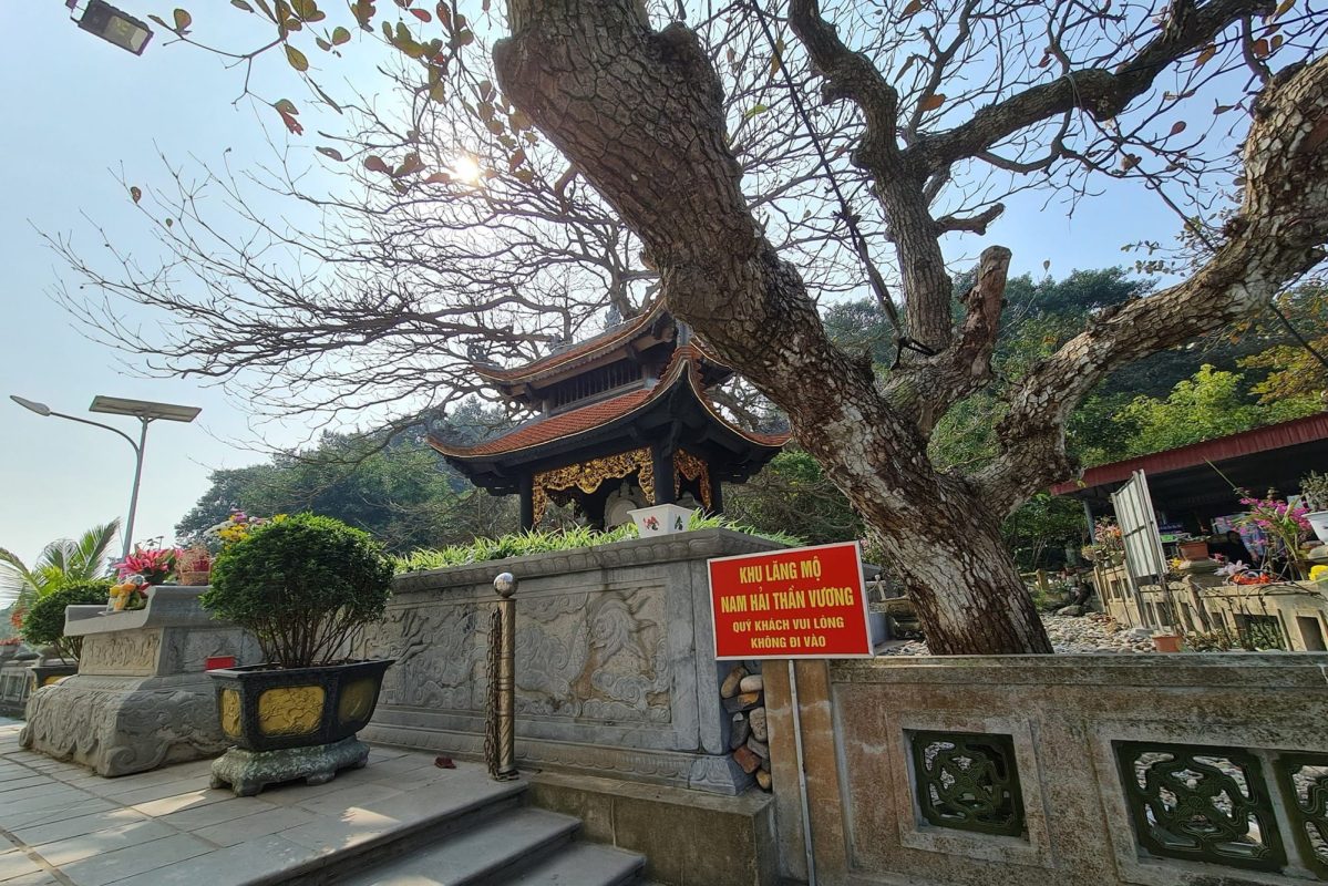 Phát Hiện Hòn Đảo Được Ví Như Viên Ngọc Xanh Giữa Biển Miền Bắc, Cách Hà Nội Hơn 100km, Rộng Chỉ Hơn 10km2