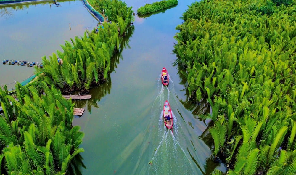 Rừng Dừa Nước Tịnh Khê - “Ốc Đảo Xanh” Yên Bình Giữa Lòng Quảng Ngãi