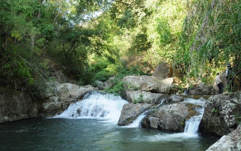 Vườn Quốc Gia Phước Bình - Khoảng Xanh Bình Yên Giữa Núi Rừng Ninh Thuận