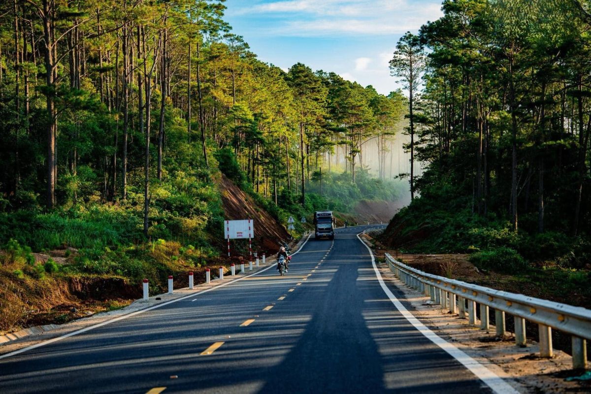 Từ Biển Xanh Vĩnh Hy Đến Đại Ngàn Măng Đen - Hai Hành Trình, Hai Sắc Màu Miền Trung