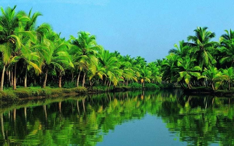 Mùa Trái Cây Miền Tây Bắt Đầu Khi Nào? Những Vườn Trái Cây Đáng Ghé Nhất