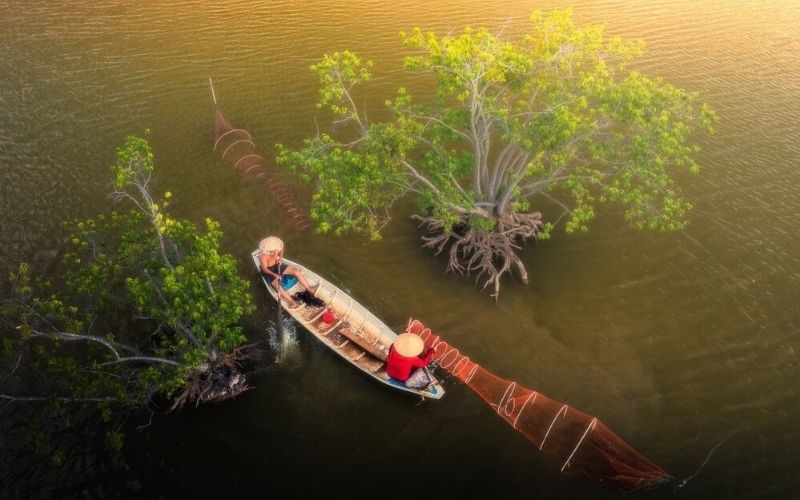Mùa Nước Nổi Miền Tây Có Gì Hấp Dẫn? Gợi Ý Trải Nghiệm Không Nên Bỏ Lỡ
