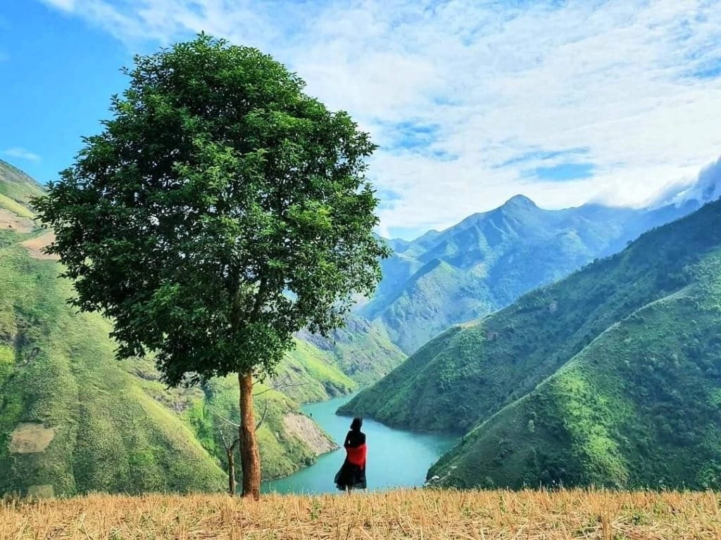 Mùa Săn Mây: Những Điểm Đến Được Yêu Thích Ở Miền Bắc