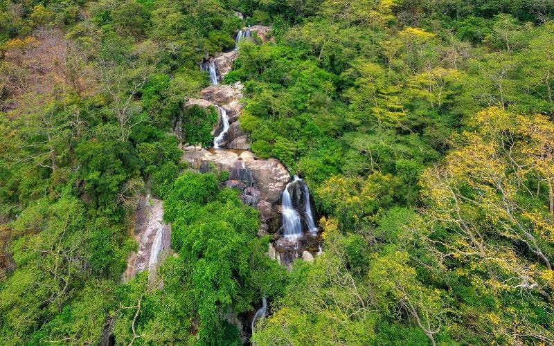 Vườn Quốc Gia Núi Chúa - Nơi Rừng Khô Hạn Gặp Biển Xanh