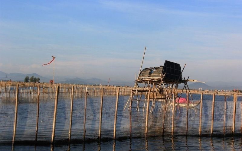 Du Lịch Đầm Chuồn Huế - Khám Phá Vẻ Đẹp Bình Yên Giữa Vùng Đầm Phá