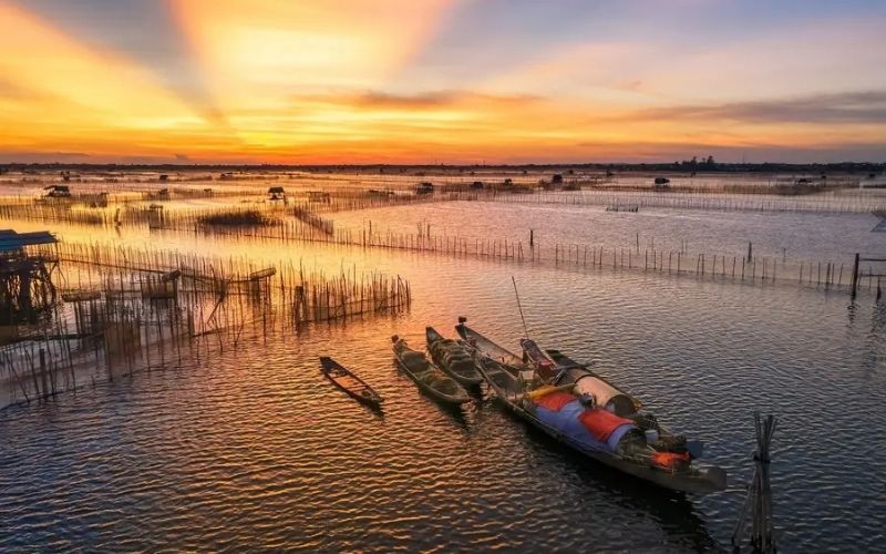 Du Lịch Đầm Chuồn Huế - Khám Phá Vẻ Đẹp Bình Yên Giữa Vùng Đầm Phá